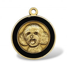 Medalion Bichon-Poodle personalizat gratuit